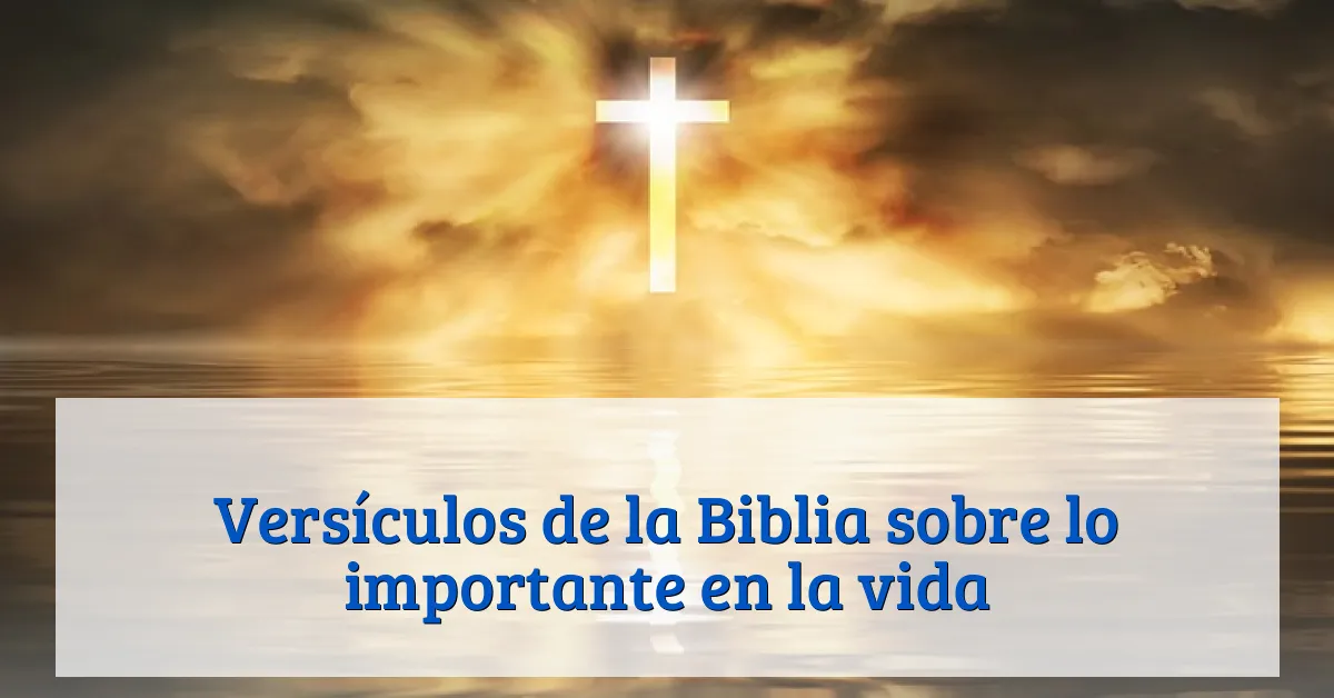 Versículos de la Biblia sobre lo importante en la vida