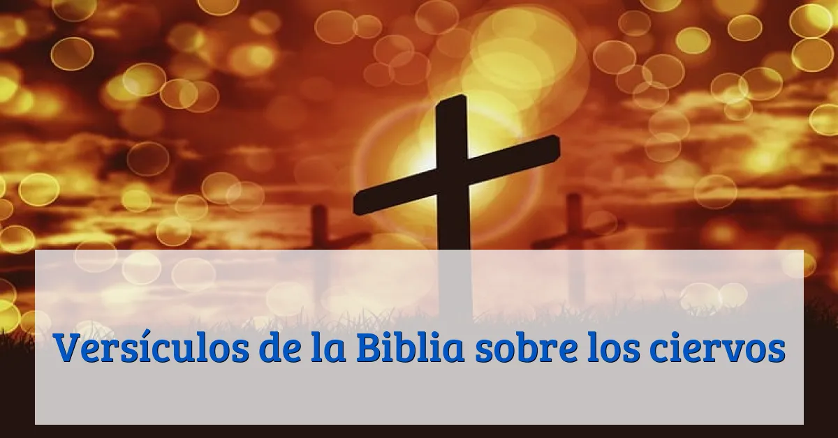 Versículos de la Biblia sobre los ciervos