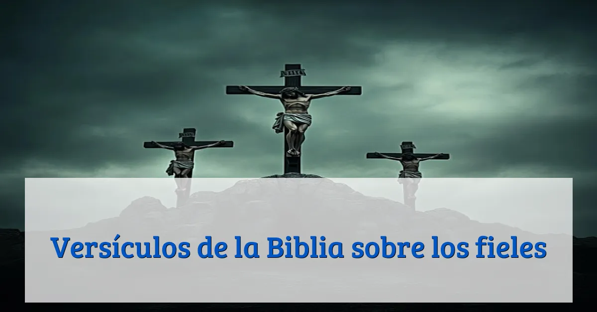 Versículos de la Biblia sobre los fieles