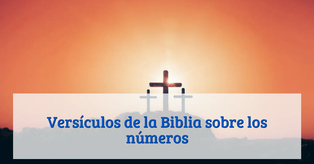 Versículos de la Biblia sobre los números