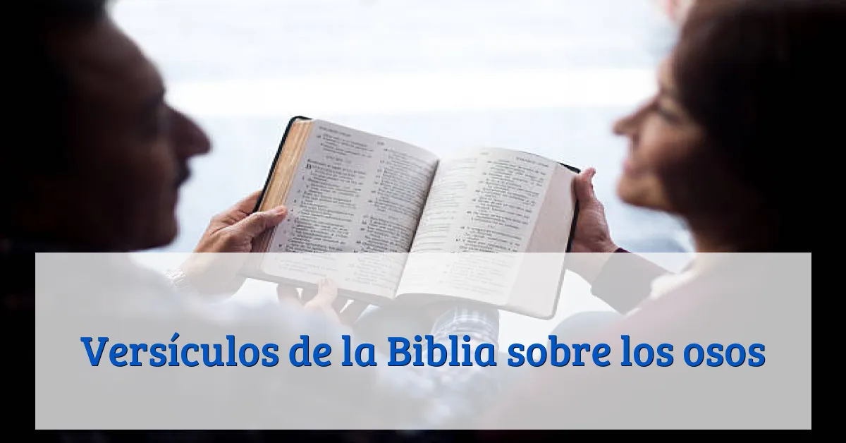 Versículos de la Biblia sobre los osos