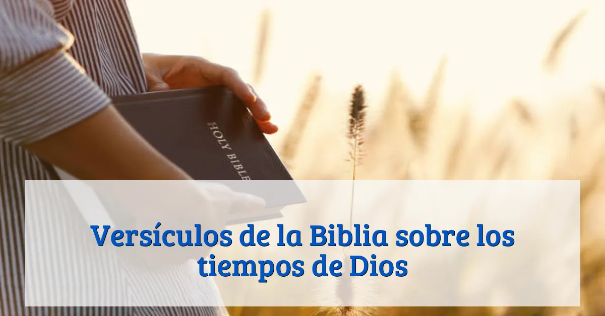 Versículos de la Biblia sobre los tiempos de Dios