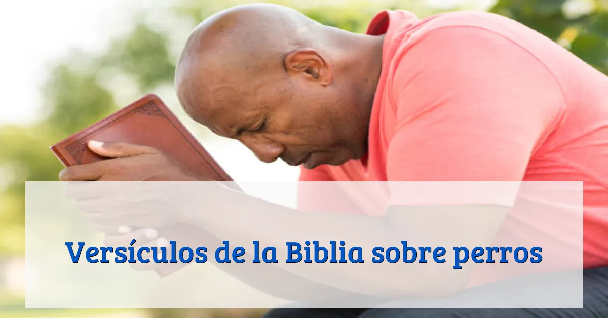 Versículos de la Biblia sobre perros