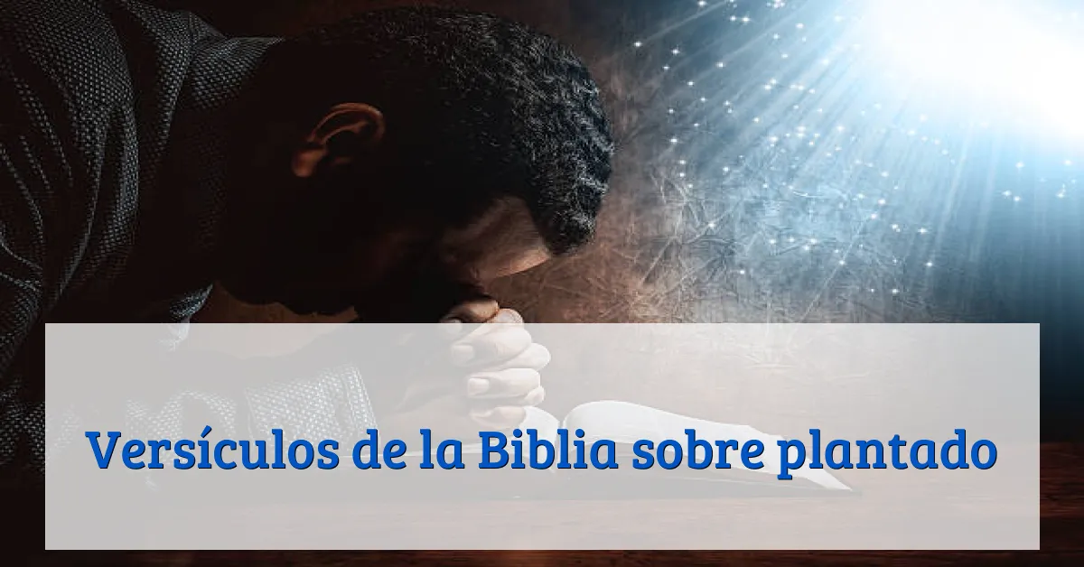 Versículos de la Biblia sobre plantado