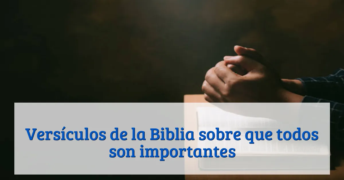 Versículos de la Biblia sobre que todos son importantes