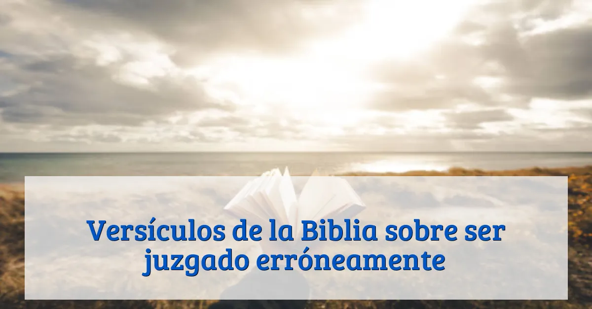 Versículos de la Biblia sobre ser juzgado erróneamente