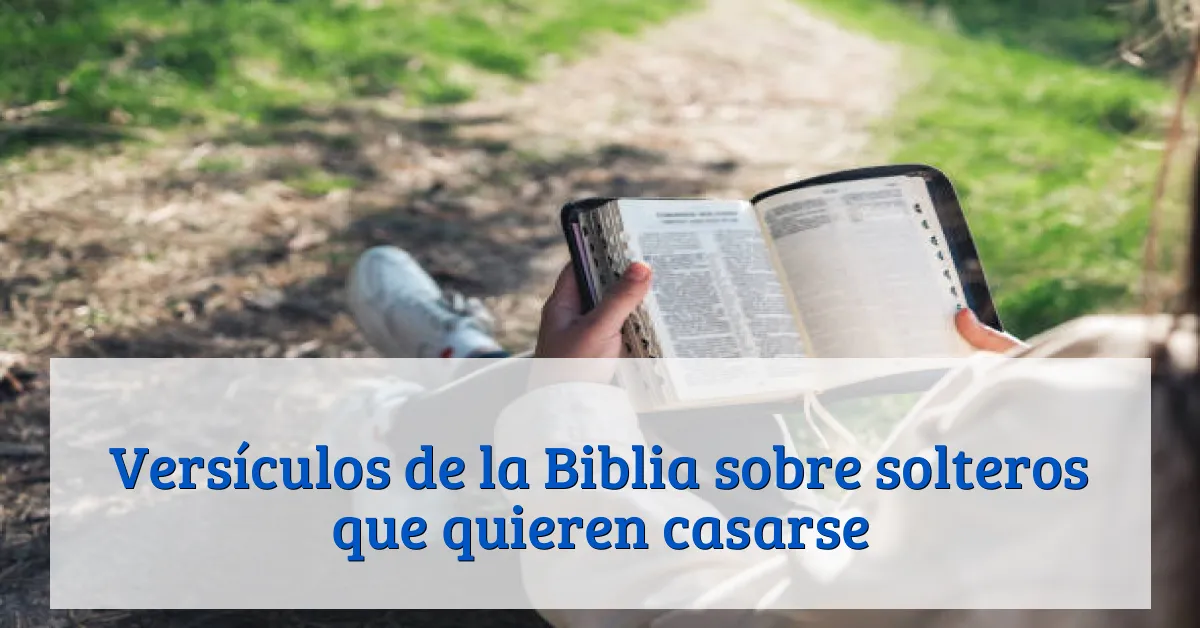 Versículos de la Biblia sobre solteros que quieren casarse