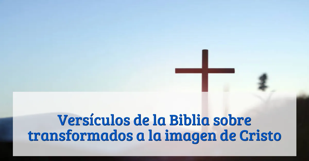 Versículos de la Biblia sobre transformados a la imagen de Cristo