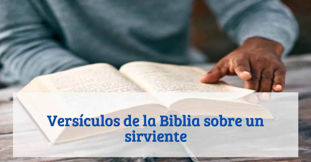Versículos de la Biblia sobre un sirviente
