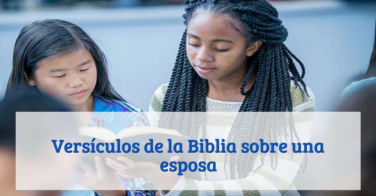 Versículos de la Biblia sobre una esposa