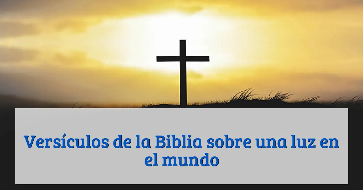 Versículos de la Biblia sobre una luz en el mundo