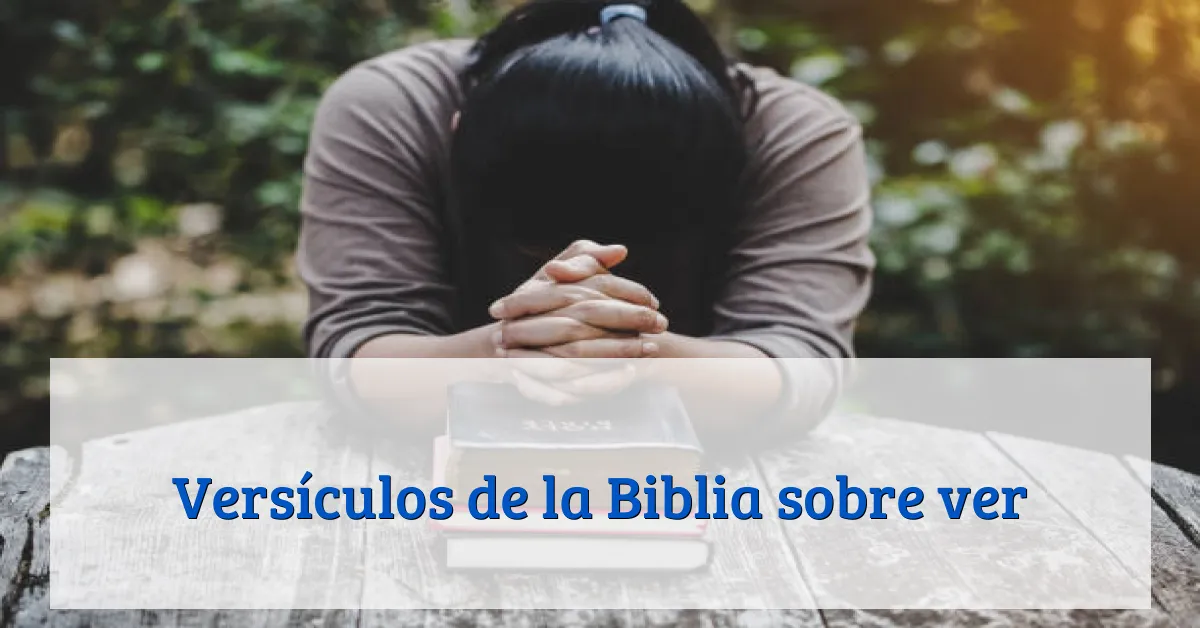 Versículos de la Biblia sobre ver