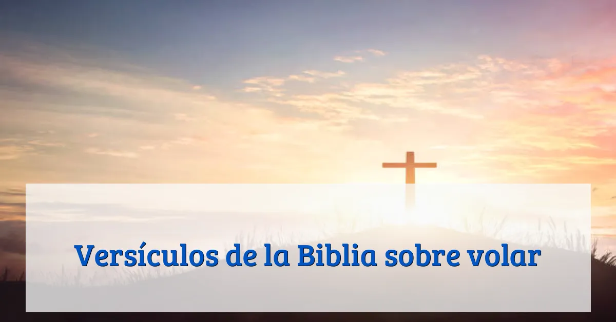 Versículos de la Biblia sobre volar